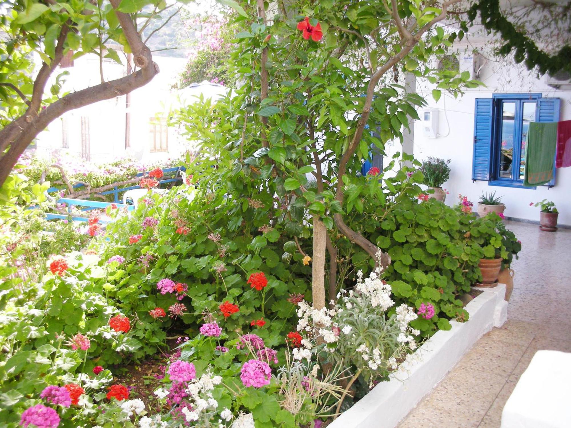 Hotel Hariklia อาเยียกาลินี ภายนอก รูปภาพ